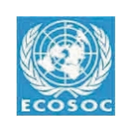 UN Economic and Social Council (ECOSOC)