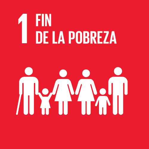 SDG 1: No Poverty