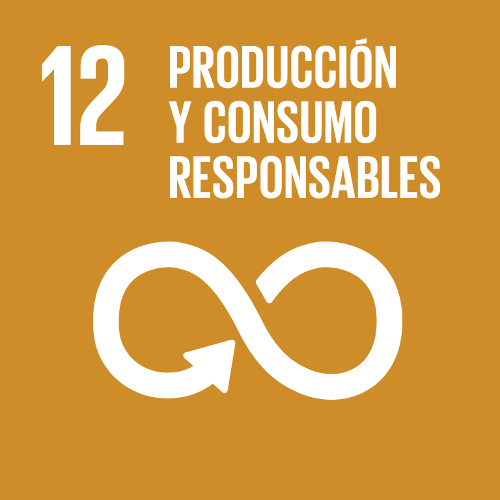 SDG 12: Responsible Consumption and Production