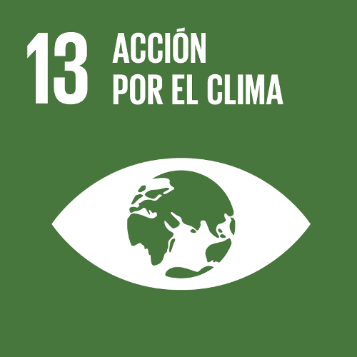 SDG 13: Climate Action