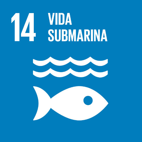 SDG 14: Life Below Water