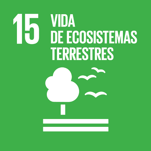SDG 15: Life on Land