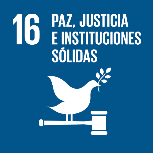 SDG 16: Peace, Justice and Strong Institutions