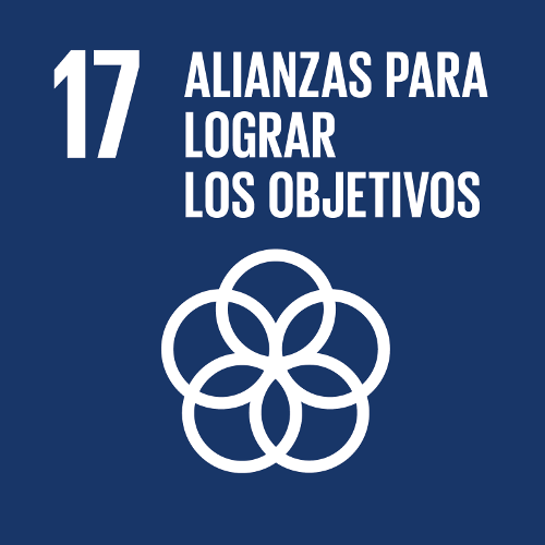 SDG 17: Partnerships for the Goals