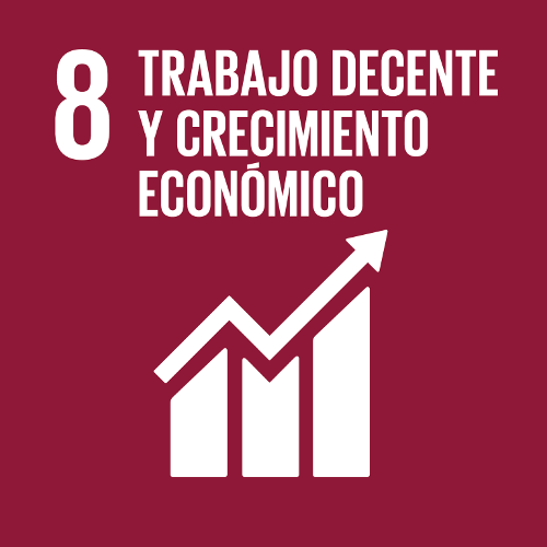 SDG 8: Decent Work and Economic Growth