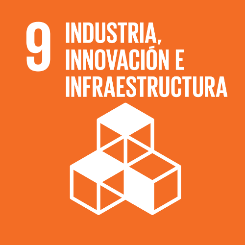SDG 9: Industry, Innovation and Infrastructure