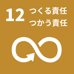 SDG 12: Responsible Consumption and Production