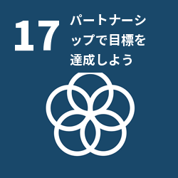 SDG 17: Partnerships for the Goals