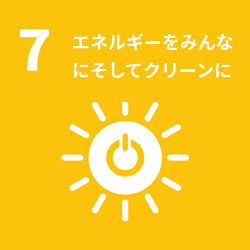 SDG 7: Affordable and Clean Energy