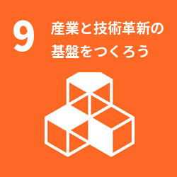SDG 9: Industry, Innovation and Infrastructure