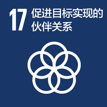 SDG 17: Partnerships for the Goals